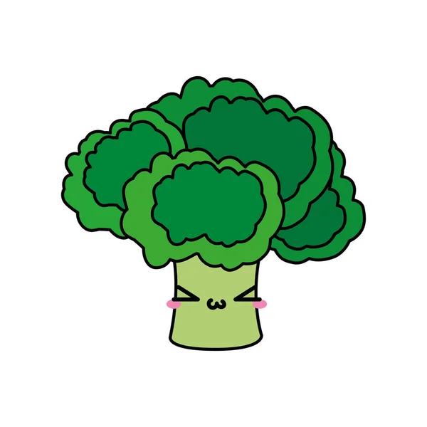 Brocoli Légumes Aliments Sains Biologiques Thème Conception Isolée Illustration Vectorielle — Image vectorielle