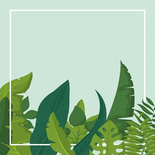 Topique Feuilles Cadre Nature Plante Botanique Thème Illustration Vectorielle — Image vectorielle