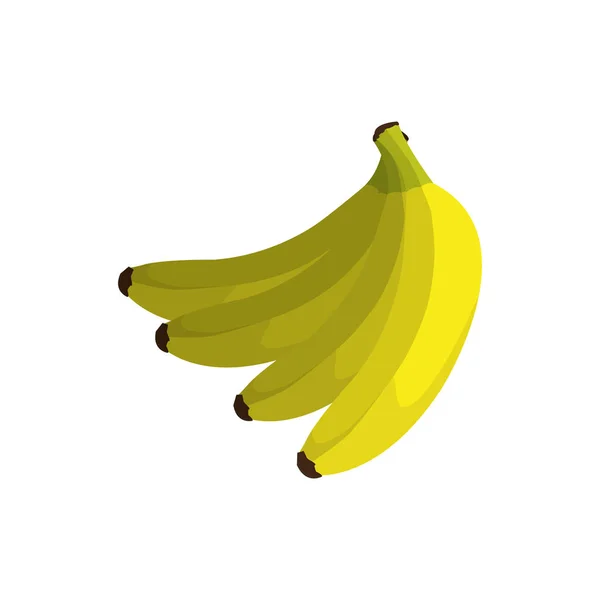 Banan Frukt Hälsosam Och Ekologisk Mat Tema Isolerade Design Vektorillustration — Stock vektor