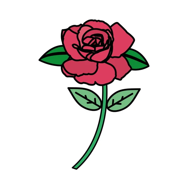 Schöne Rosen und Blütenblätter — Stockvektor