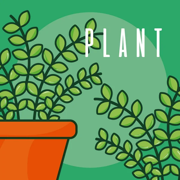 Planta em vaso — Vetor de Stock