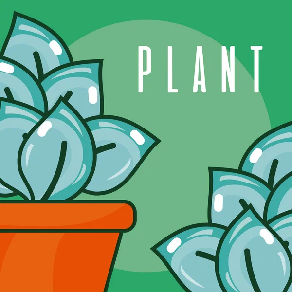 Saksıda bitkiler — Stok Vektör