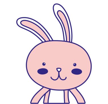 tam renkli mutlu tavşan hayvan yüz ifadesi ile