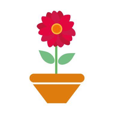 renkli güzel çiçek yaprakları ve yaprakları plantpot içinde