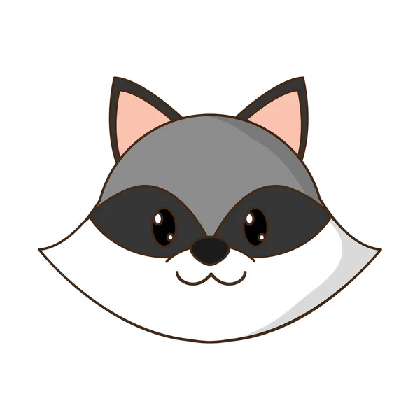Tête de raton laveur personnage animal mignon — Image vectorielle