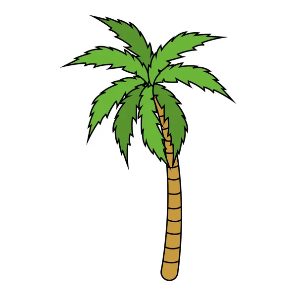 Izolované palm tree designu — Stockový vektor