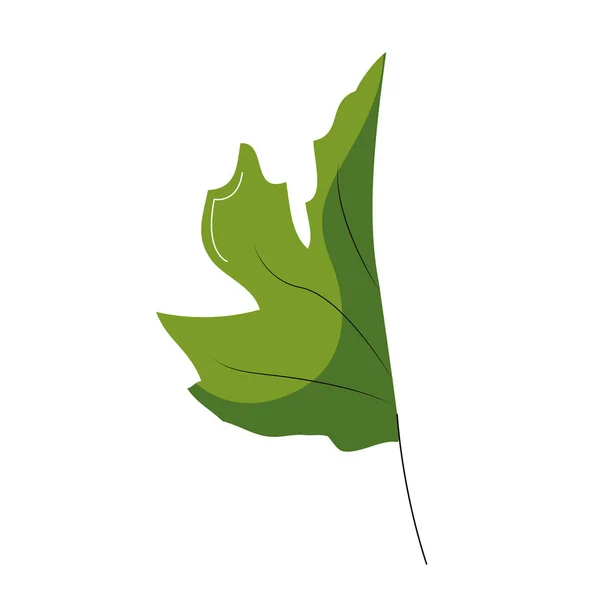 Elszigetelt leaf-tervezési — Stock Vector