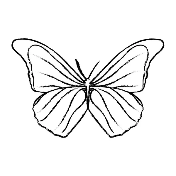 粗野的美丽蝴蝶风格的动物到春天 — 图库矢量图片