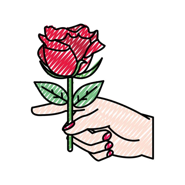 Mão mulher ralada com belas pétalas de rosa e folhas — Vetor de Stock