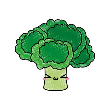 Brokoli sebze sağlıklı ve organik gıda Tema izole tasarım vektör çizim