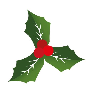 Noel çiçek tasarım