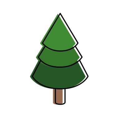 İzole çam ağacı tasarım