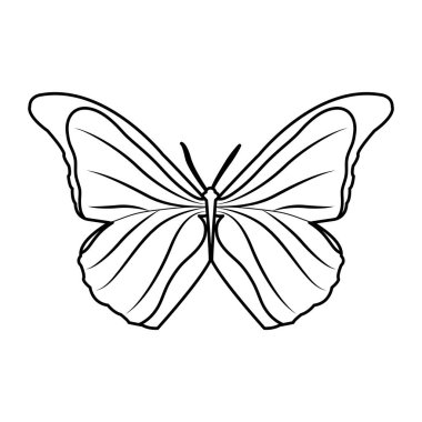 satır güzellik kelebek stil hayvan bahar için
