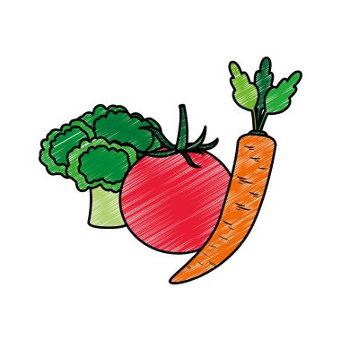 Brokoli domates ve havuç sebze sağlıklı ve organik gıda Tema izole tasarım vektör çizim