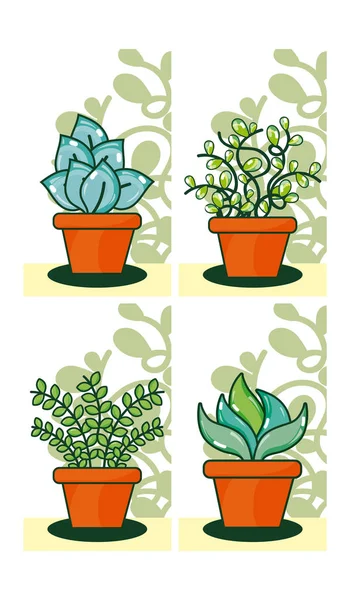 Conjunto Cactus Macetas Dibujos Animados Vector Ilustración Diseño Gráfico — Archivo Imágenes Vectoriales