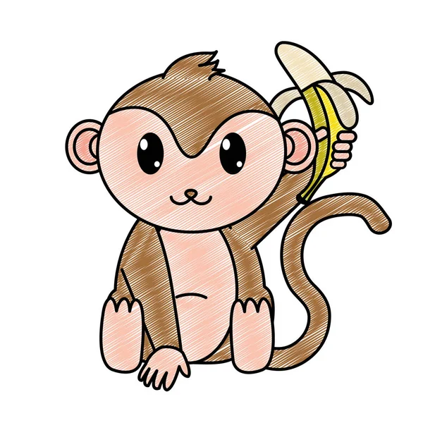 Dzikie zwierzę tarty urocze małpy z bananem w dłoni — Wektor stockowy