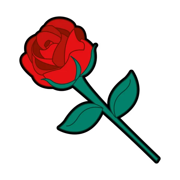 Conception de rose isolée — Image vectorielle