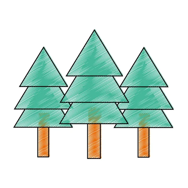 Isolated pine tree design — Stock Vector