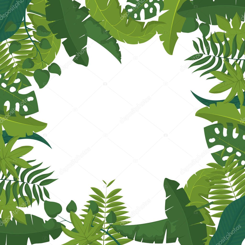 Tropical leaves frame