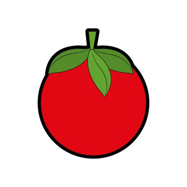 Domates sebze sağlıklı ve organik gıda Tema izole tasarım vektör çizim