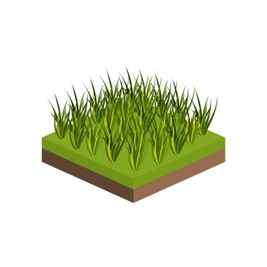 İzometrik çim tasarım