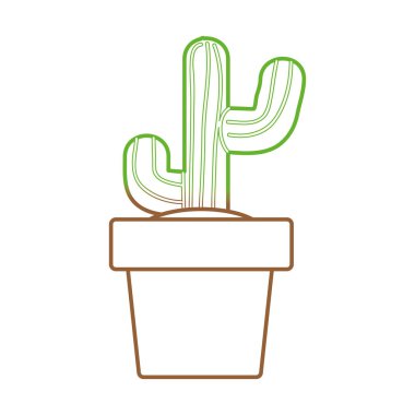 İzole kaktüs tasarım