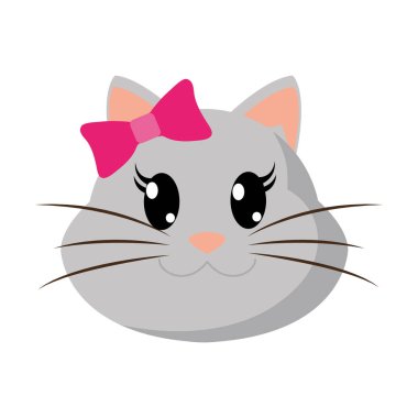 renkli dişi kedi baş sevimli hayvan