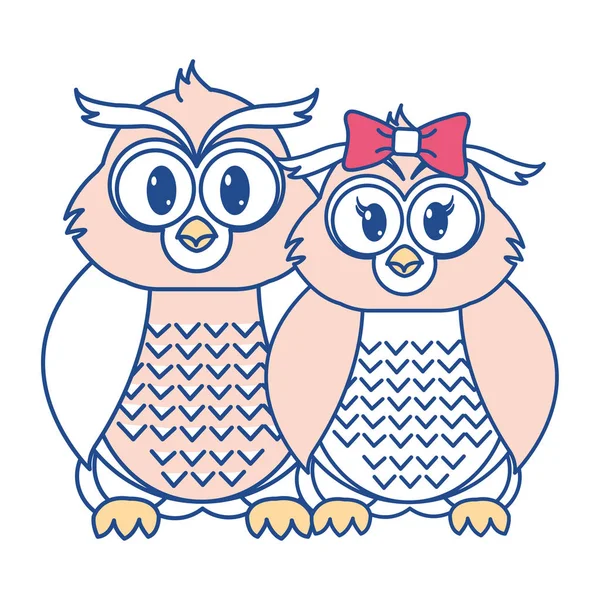 Line color owl couple cute animal together — Stock Vector