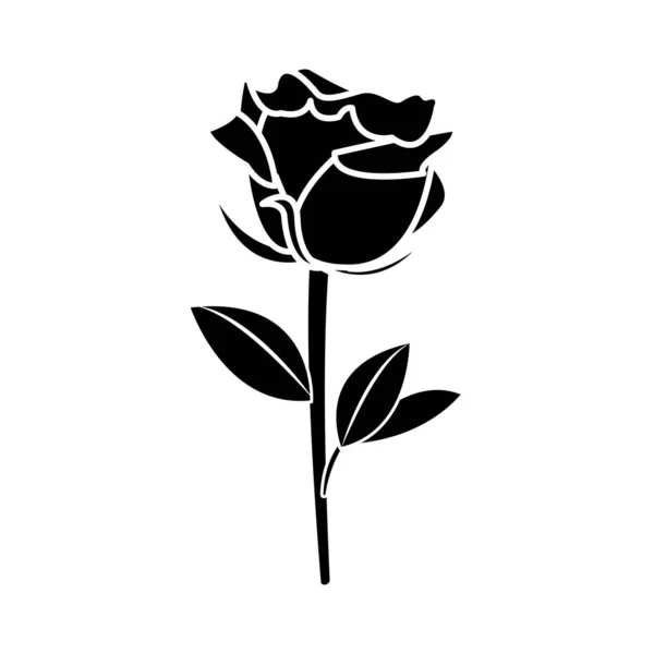 Silueta růže design dekorace krásná příroda — Stockový vektor