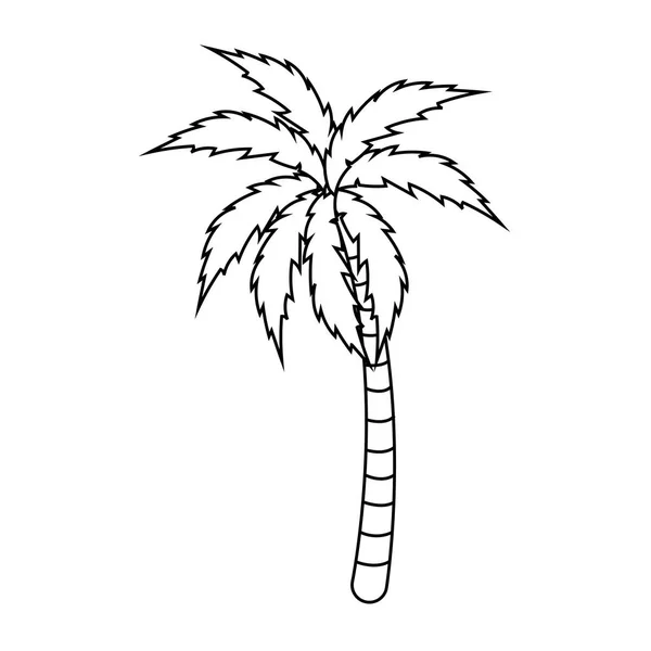 Elszigetelt palm fa design — Stock Vector