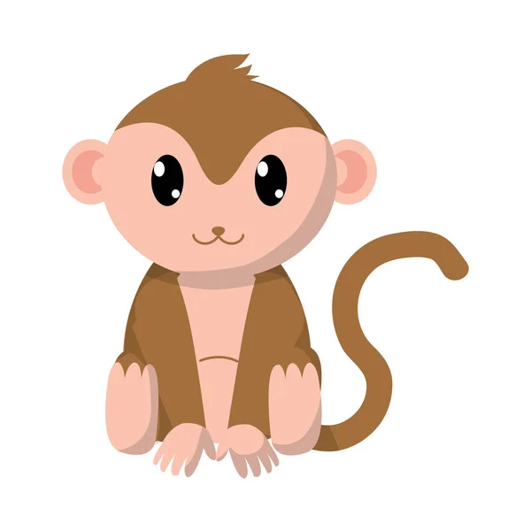 Красочные обезьяны милый характер диких животных — стоковый вектор