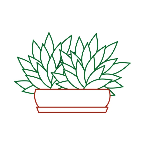 Diseño de planta aislada — Vector de stock