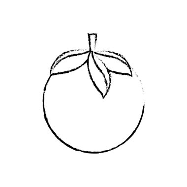 Domates oof sebze sağlıklı ve organik gıda Tema izole tasarım vektör çizim