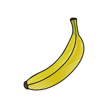 Muz meyve sağlıklı ve organik gıda Tema izole tasarım vektör çizim