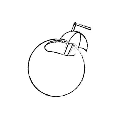 İzole Hindistan cevizi tasarım