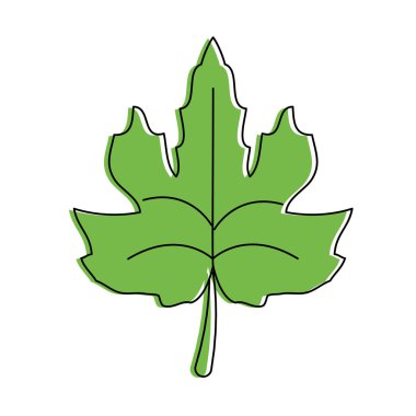 İzole yaprak tasarımı