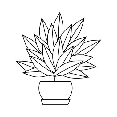 İzole bitki tasarımı