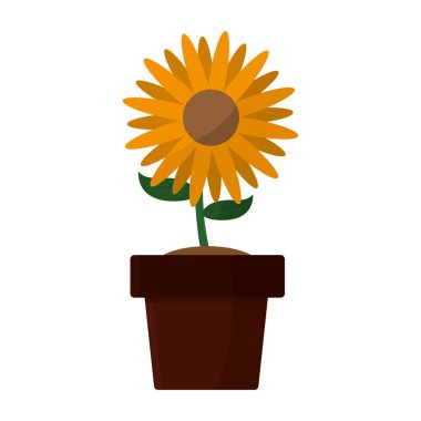 İzole ayçiçeği tasarım