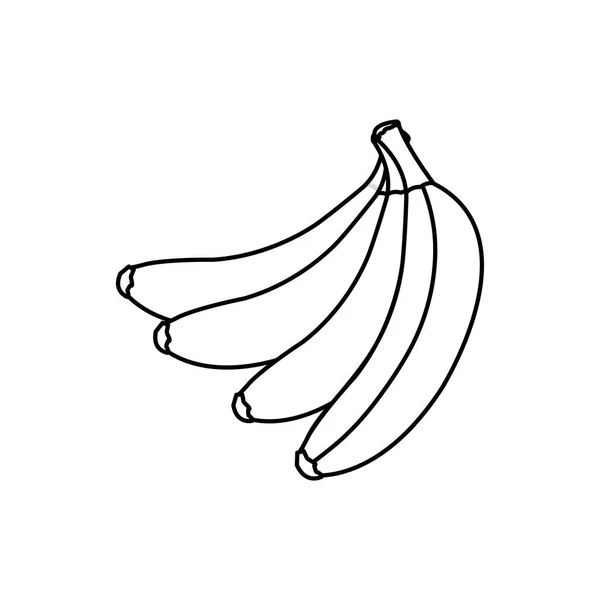 Banana Frutta Cibo Sano Biologico Tema Design Isolato Illustrazione Vettoriale — Vettoriale Stock