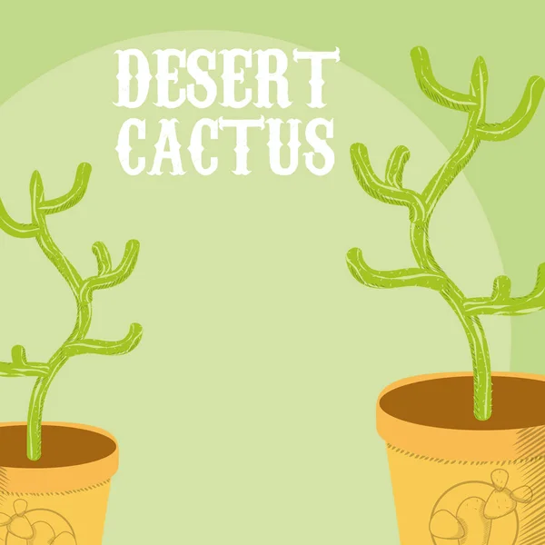 Plantas Cactus Del Desierto Macetas Sobre Fondo Verde Vector Ilustración — Archivo Imágenes Vectoriales