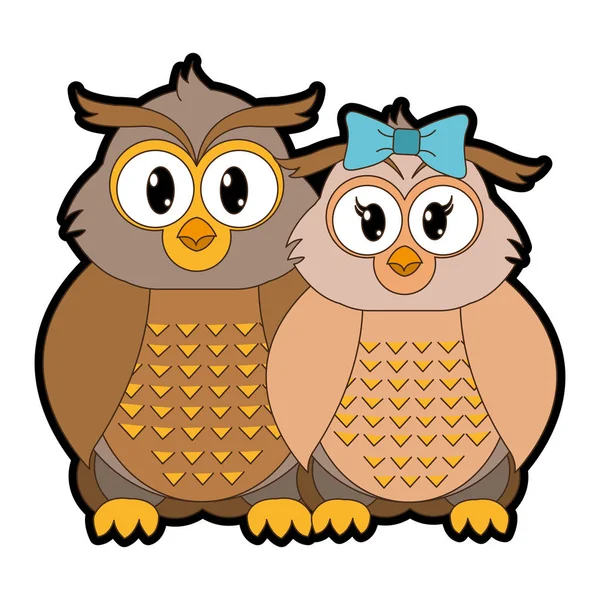 Full color owl couple cute animal together — Stock Vector