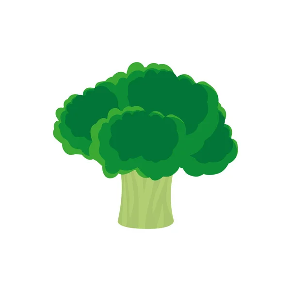 Brócoli Verduras Alimentos Saludables Orgánicos Tema Diseño Aislado Ilustración Vectorial — Vector de stock