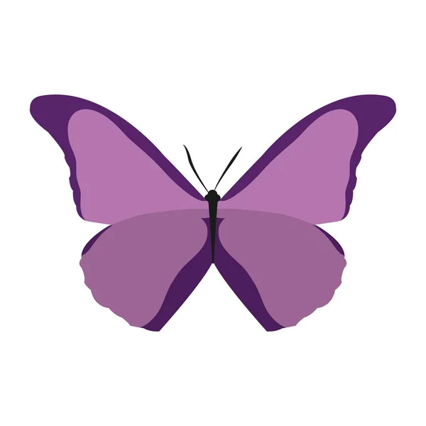 Colorido belleza mariposa estilo animal a la primavera — Vector de stock
