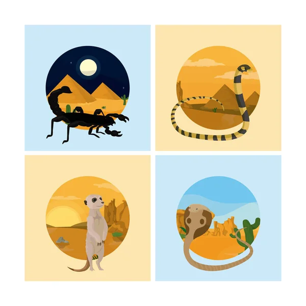 Conjunto Dibujos Animados Animales Del Desierto Marcos Vector Ilustración Diseño — Vector de stock