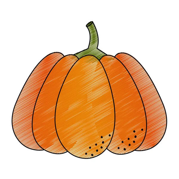 Isolated pumpkin design — Stock Vector