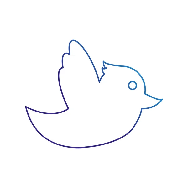 Dove Bird Social Media Multimedia Theme Isolated Design Vector Illustration - Stok Vektor