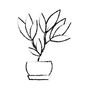 İzole bitki tasarımı