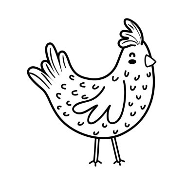 satır tavuk çiftliği kuş hayvan kanatlı