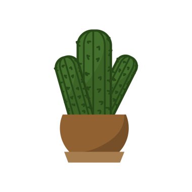 İzole kaktüs tasarım