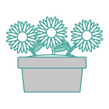 İzole ayçiçeği tasarım